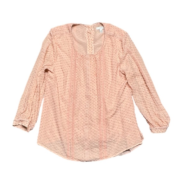 J. Crew Lace Trim Swiss Dot Silk Blouse Sz 16  Pink Sheer Lined Back Button Up - Picture 1 of 12
